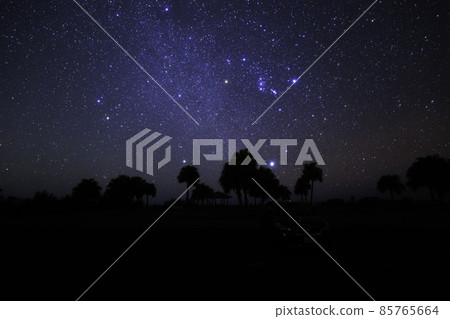 《宮崎縣神無花園》小伊浦展望台和冬季三角區的星空 《宮崎縣神無花園》小伊浦展望台和冬季三角區的星空 85765664