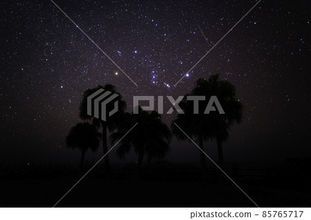 《Kanna Flower Garden, Miyazaki Prefecture》 Starry sky and Orion from Koigaura Observatory 85765717