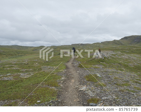Lonely man hiker figure with backpack walking at footpath in Lapland landscape with green mountains, birch trees and boulders. Sweden summer wild nature, Padjelantaleden hiking trail. Lonely man hiker figure with backpack walking at footpath in Lapland landscape with green mountains, birch trees and boulders. Sweden summer wild nature, Padjelantaleden hiking trail. 85765739