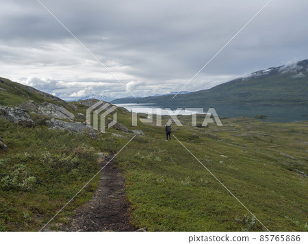 Man hiker with backpack walking at footpath in Lapland landscape at Virihaure lake with green mountains, birch trees and boulders. Sweden summer wild nature, Padjelantaleden hiking trail. 85765886