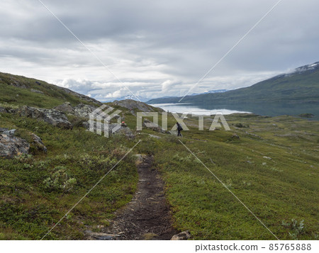 Man hiker with backpack walking at footpath in Lapland landscape at Virihaure lake with green mountains, birch trees and boulders. Sweden summer wild nature, Padjelantaleden hiking trail. 85765888