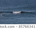 海浪海景 85766341
