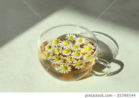 Cup of chamomile tea on white textured table Cup of chamomile tea on white textured table 85766544