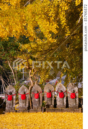 和歌山縣東室郡古座川町廣仙寺大銀杏六地藏 和歌山縣東室郡古座川町廣仙寺大銀杏六地藏 85766872