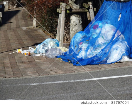 被貓和烏鴉蹂躪的垃圾場(垃圾收集場) 被貓和烏鴉蹂躪的垃圾場(垃圾收集場) 85767004