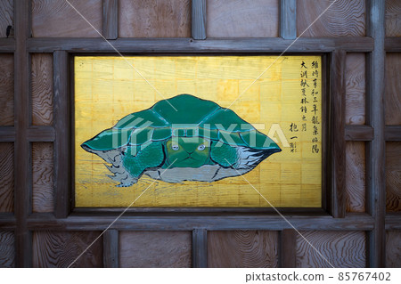Enoshima Happo glaring turtle 85767402