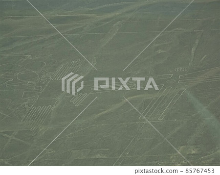 [Peru] Nasca ground painting: parrot 85767453