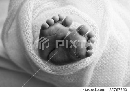 The tiny foot of a newborn. Soft feet of a newborn in a blanket. Close up of toes, heels and feet of a newborn baby. Studio Macro photography. Woman's happiness. Concept. Black and white. The tiny foot of a newborn. Soft feet of a newborn in a blanket. Close up of toes, heels and feet of a newborn baby. Studio Macro photography. Woman's happiness. Concept. Black and white. 85767760