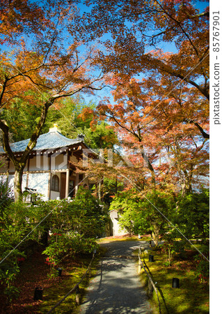 Hogon-in, a famous spot for autumn leaves in Arashiyama, Kyoto Hogon-in, a famous spot for autumn leaves in Arashiyama, Kyoto 85767901