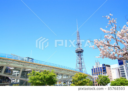 名古屋市、電視塔和櫻花風景 85768503