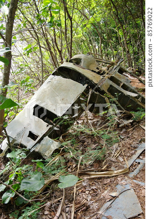 小笠原群島 / 親島戰場 / Dive Bomber Helldiver Wreckage 85769022