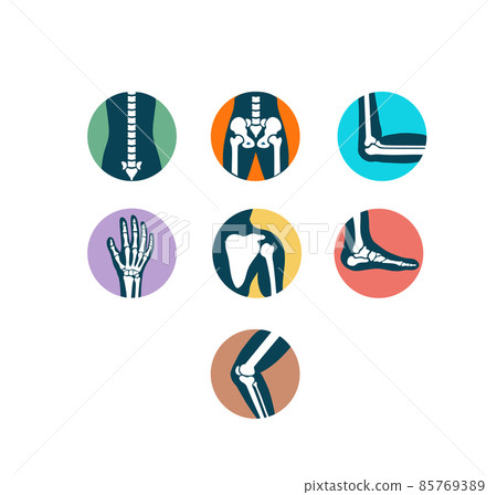 Orthopedic medical human joints and bones icon set Orthopedic medical human joints and bones icon set 85769389