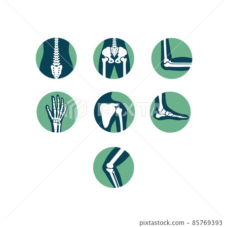Orthopaedic physiotherapy and sport medicine circle icons Orthopaedic physiotherapy and sport medicine circle icons 85769393