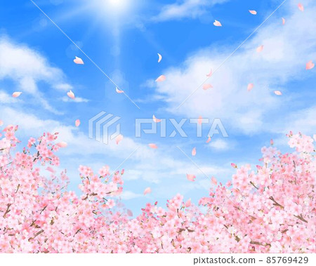 Beautiful and gorgeous cherry blossoms and petals fluttering in the refreshing blue sky of spring Cloud frame background vector material illustration Beautiful and gorgeous cherry blossoms and petals fluttering in the refreshing blue sky of spring Cloud frame background vector material illustration 85769429