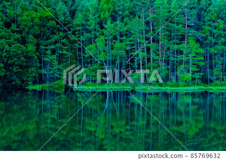 Mishakaike Pond (Summer) Mishakaike Pond (Summer) 85769632