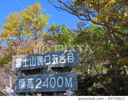 Autumn leaves that began to color with the blue sky from the 5th station of Mt. Fuji Autumn leaves that began to color with the blue sky from the 5th station of Mt. Fuji 85770821