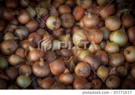 Pile of real raw organic onions on the market Pile of real raw organic onions on the market 85771617
