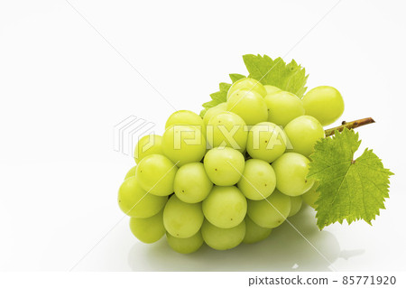 White background shine muscat White background shine muscat 85771920