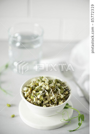 sprouted green bean seeds and a glass of fresh water sprouted green bean seeds and a glass of fresh water 85772319