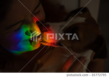 Close-up portrait of a woman hugging a jack russell terrier dog with a ray of rainbow light on her face. Close-up portrait of a woman hugging a jack russell terrier dog with a ray of rainbow light on her face. 85772795