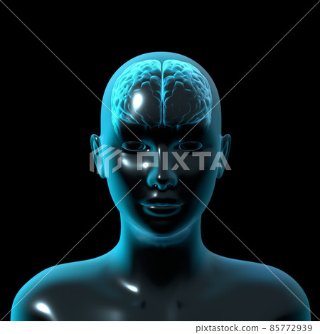 Brain, human brain, female 85772939