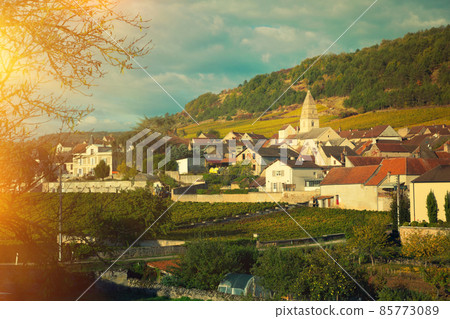 Houses and nature of ancient city Saint-Aubin, Burgundy with vin 85773089