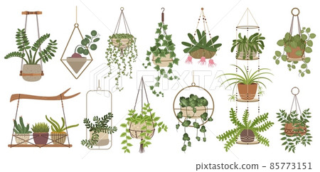 Hanging plants, indoor potted houseplants in macrame hangers. Home plant in handmade hanger, house interior decor elements vector set 85773151