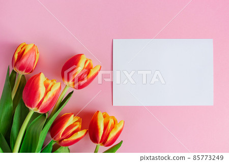 Fresh tulips bouquet and greeting card on pink background. Happy easter. Spring holidays concept. Fresh tulips bouquet and greeting card on pink background. Happy easter. Spring holidays concept. 85773249