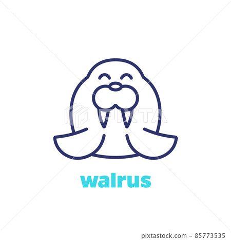 Walrus line icon, arctic animal vector design 85773535