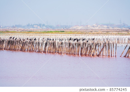 A beautiful salt lake with pink water. 85774245