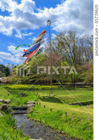 春天莊原美北丘陵公園山村溪流和鯉魚旗 春天莊原美北丘陵公園山村溪流和鯉魚旗 85776620