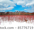 winter landscape with mountain views and beautiful red vegetation 85776719