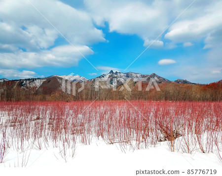 winter landscape with mountain views and beautiful red vegetation winter landscape with mountain views and beautiful red vegetation 85776719