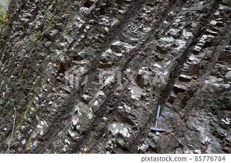 四萬十群砂岩和泥岩交替層 四萬十群砂岩和泥岩交替層 85776784