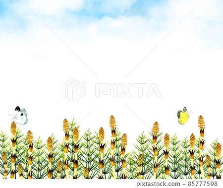 Background material for Tsukushi, horsetail, and butterflies Spring hand-painted watercolor illustration material Background material for Tsukushi, horsetail, and butterflies Spring hand-painted watercolor illustration material 85777598