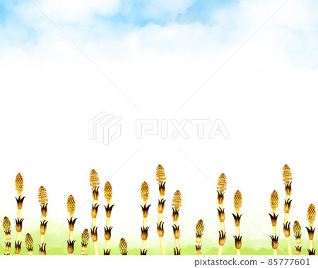 Background material of horsetail (horsetail) Spring hand-painted watercolor illustration material 85777601