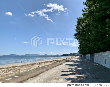 春日浦海岸【三河灣國定公園/愛知縣蒲郡市片原町】 春日浦海岸【三河灣國定公園/愛知縣蒲郡市片原町】 85778127