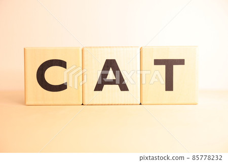 Image of CAT (cat / cat) (character / alphabet text) 85778232