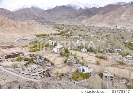 View of Leh, Ladakh district, India View of Leh, Ladakh district, India 85778547
