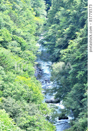 Ichinose Valley at the headwaters of the Tama River Ichinose Valley at the headwaters of the Tama River 85778573