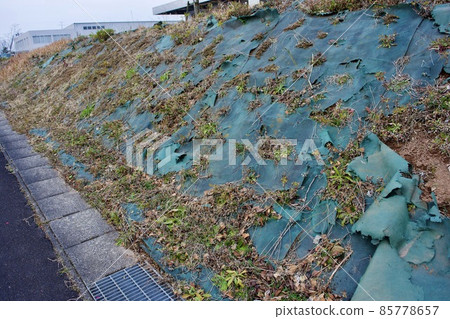 Old and torn weed proof sheet Old and torn weed proof sheet 85778657