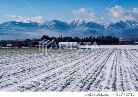 Winter Hidaka Mountains and Snow-covered Ranch (Shimizu Town, Hokkaido) 85778716