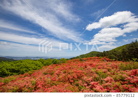 《Kesennuma, Miyagi Prefecture》 View from Tokusen Jozan 1st Observatory 85779112