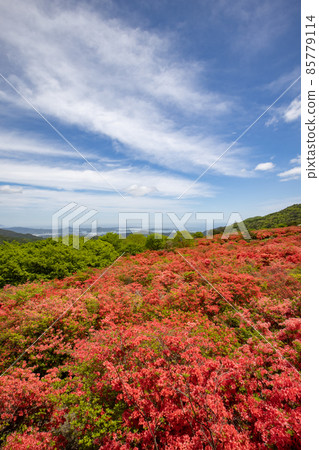 《宮城縣氣仙沼市》德仙定山第一展望台遠眺 85779114
