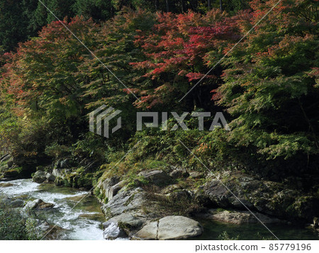 Akechi River, Gifu Prefecture Akechi River, Gifu Prefecture 85779196