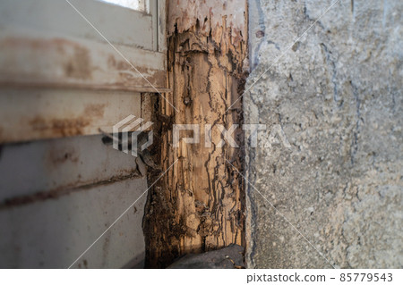 State of the pillar of the house that was damaged by termites 85779543