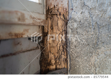 State of the pillar of the house that was damaged by termites 85779544