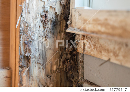State of the pillar of the house that was damaged by termites 85779547