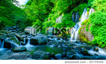 蒼龍瀑布（夏季） 85779594