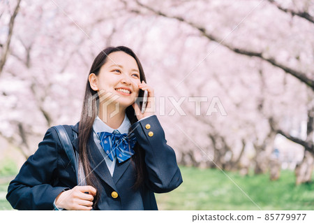 櫻花樹下呼喚的高中生 85779977